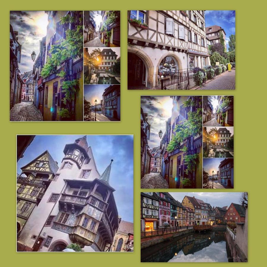N¨°1 Schongauer Gite De Charme Centre Touristique コルマール エクステリア 写真