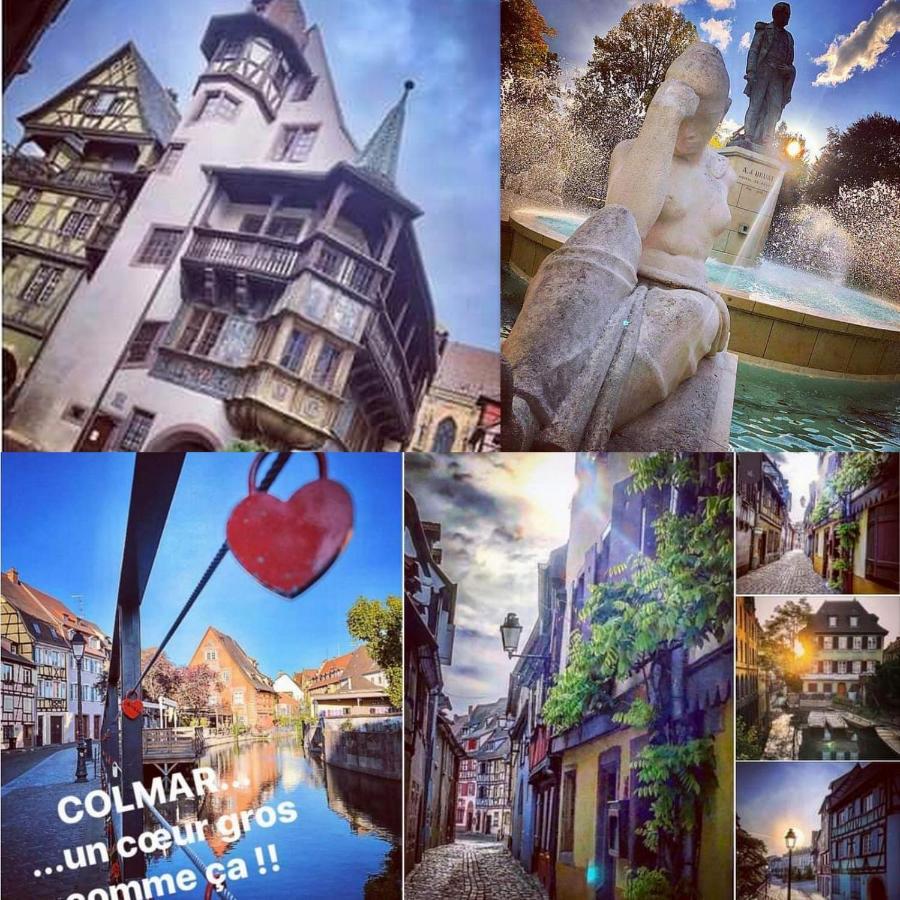 N¨°1 Schongauer Gite De Charme Centre Touristique コルマール エクステリア 写真